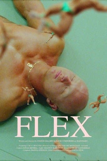 Movie poster for Flex