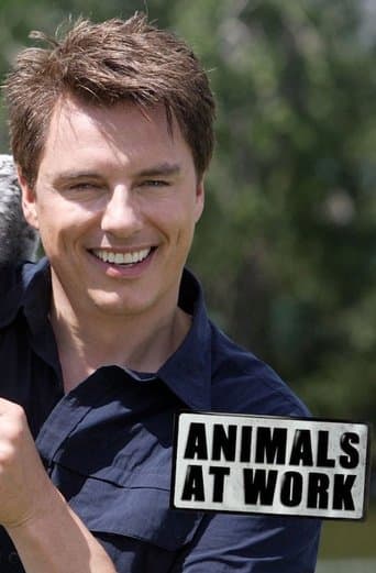 Movie poster for Animals at Work