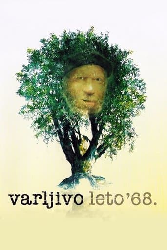 Movie poster for The Elusive Summer of '68