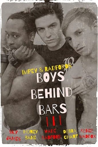 Movie poster for Boys Behind Bars 3