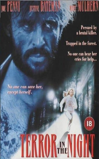 Movie poster for Terror in the Night