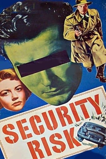 Movie poster for Security Risk
