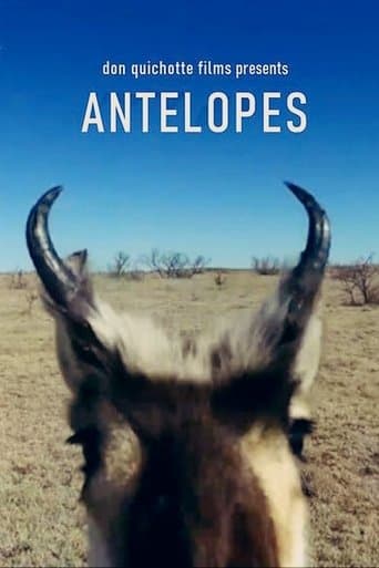 Movie poster for Antelopes