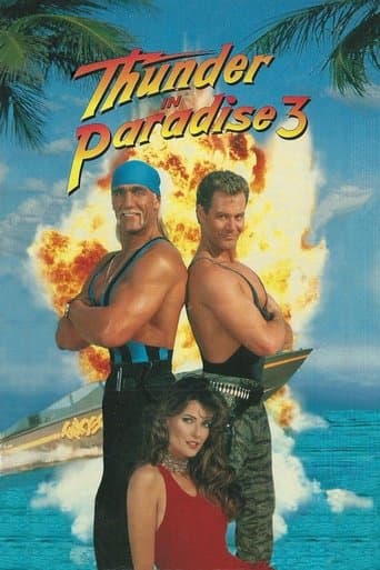 Movie poster for Thunder in Paradise 3