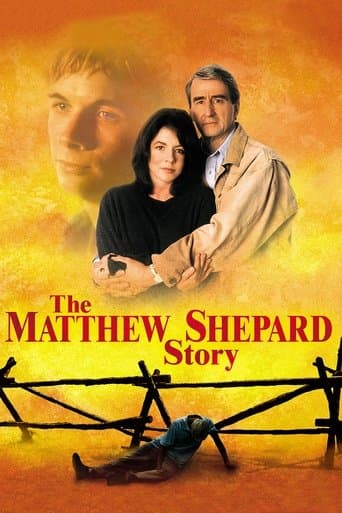 Movie poster for The Matthew Shepard Story