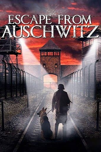 Movie poster for The Escape from Auschwitz