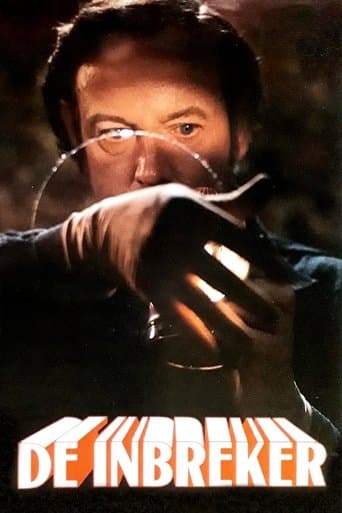 Movie poster for The Burglar