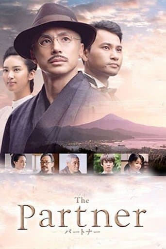 Movie poster for The Partner