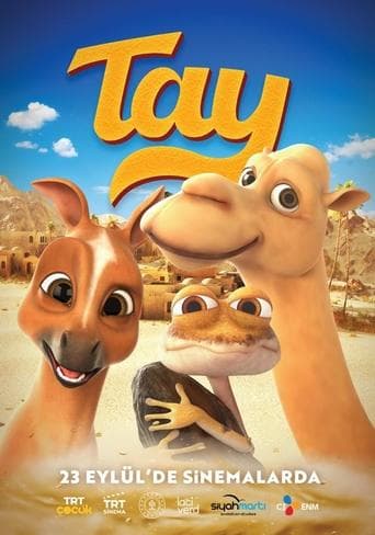 Movie poster for Tay