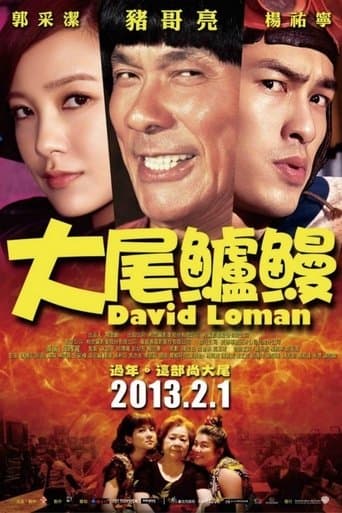 Movie poster for David Loman