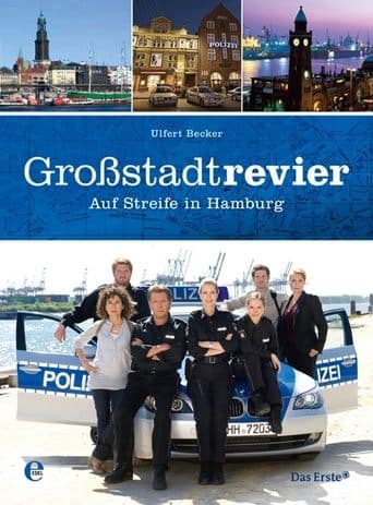 Movie poster for Großstadtrevier