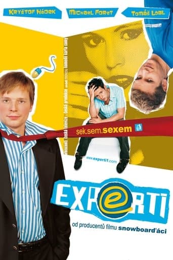 Movie poster for Experti