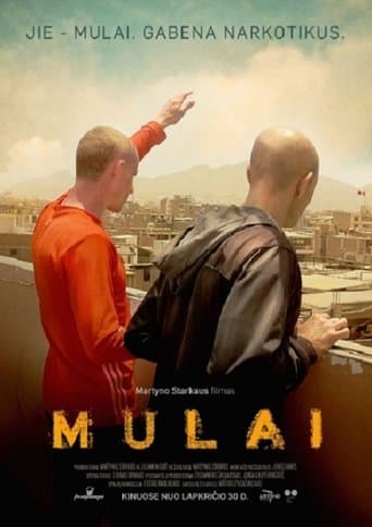 Movie poster for The Mules