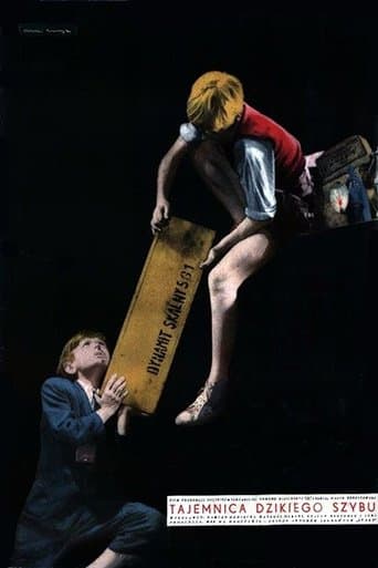 Movie poster for Tajemnica dzikiego szybu