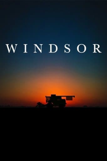 Movie poster for Windsor