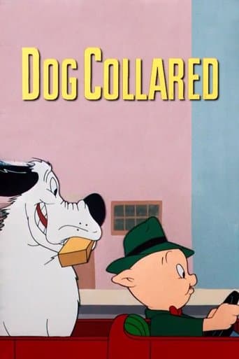 Movie poster for Dog Collared