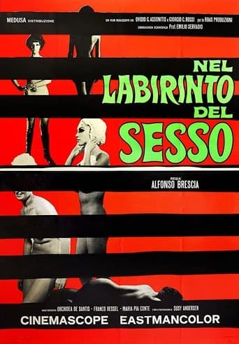 Movie poster for The Labyrinth of Sex