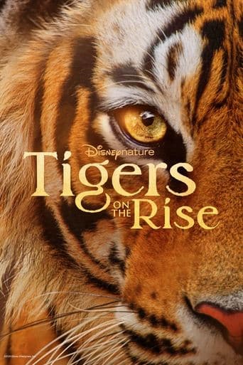 Movie poster for Tigers on the Rise