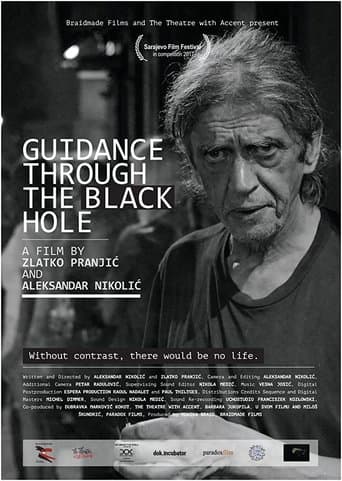 Movie poster for Guidance Through the Black Hole