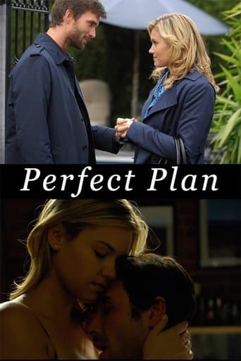 Movie poster for Perfect Plan