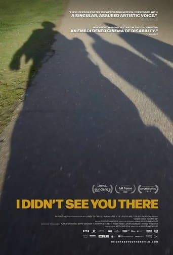 Movie poster for I Didn't See You There