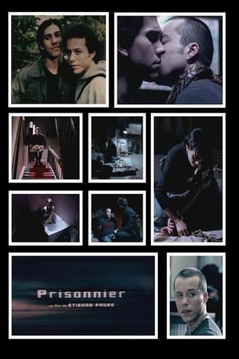 Movie poster for Prisoner