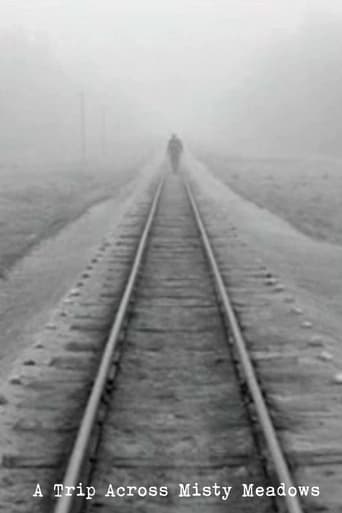 Movie poster for A Trip Across Misty Meadows