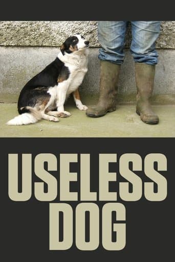 Movie poster for Useless Dog