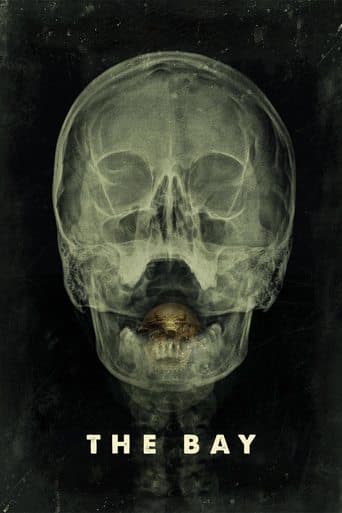 Movie poster for The Bay
