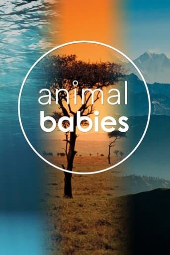 Movie poster for Animal Babies