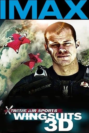 Movie poster for Wingsuit Warrior