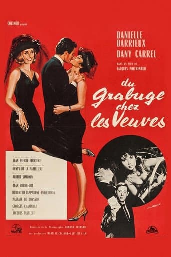 Movie poster for Trouble Among Widows