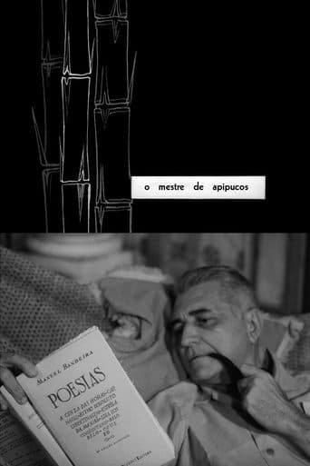 Movie poster for The Master of Apipucos