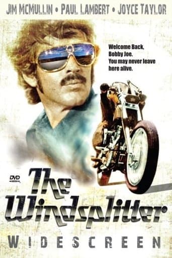 Movie poster for The Windsplitter