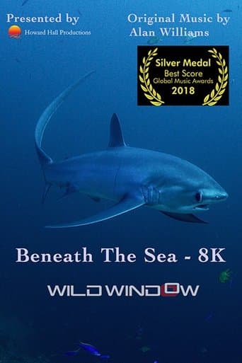 Movie poster for Wild Window: Beneath the Sea
