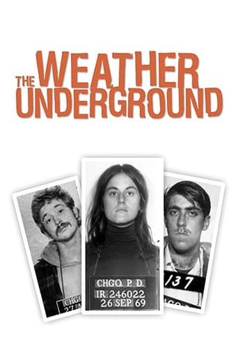 Movie poster for The Weather Underground