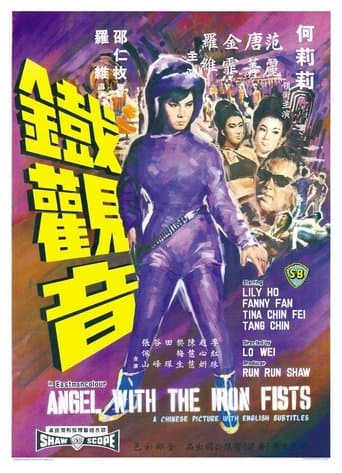 Movie poster for Angel with the Iron Fists