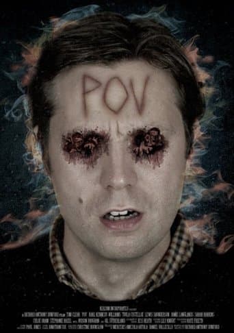 Movie poster for P.O.V