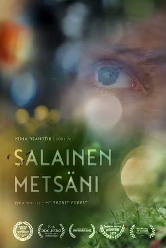 Movie poster for Salainen metsäni
