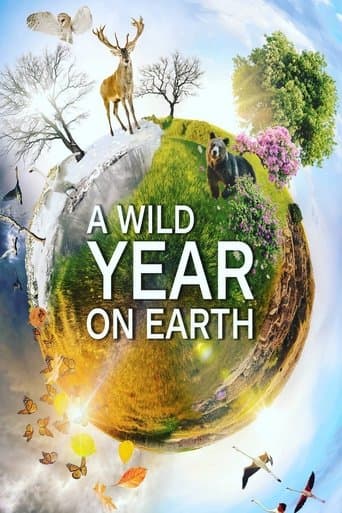 Movie poster for A Wild Year On Earth