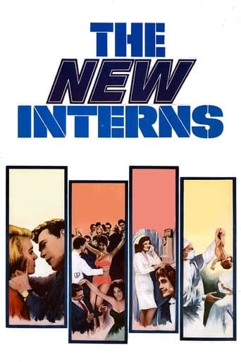 Movie poster for The New Interns