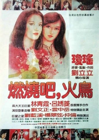 Movie poster for Burn Phoenix Burn
