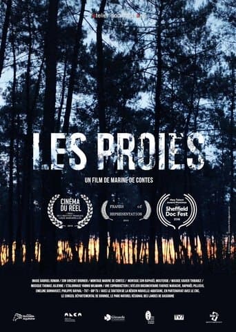 Movie poster for The Game