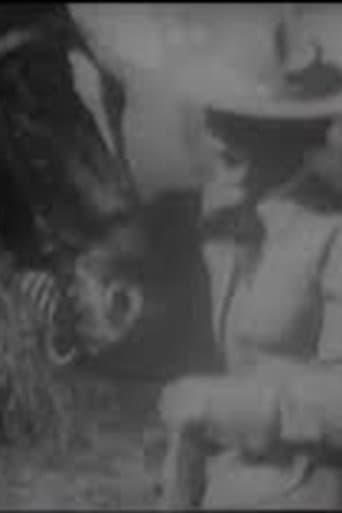 Movie poster for The Girl from Montana
