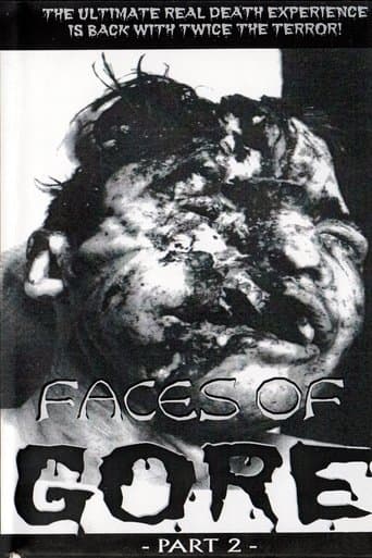Movie poster for Faces Of Gore 2