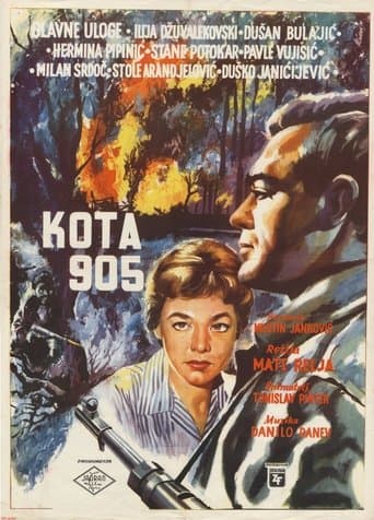 Movie poster for Point 905
