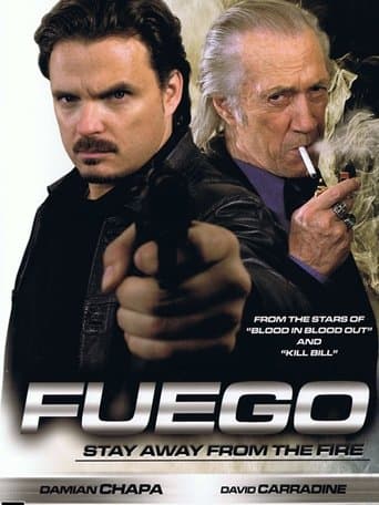 Movie poster for Fuego