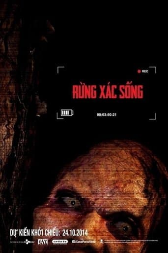 Movie poster for The Lost Tour: Vietnam