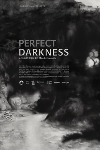 Movie poster for Perfect Darkness