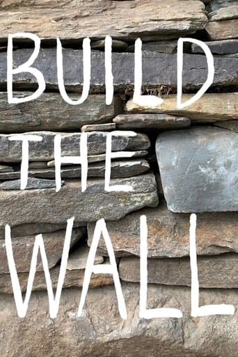 Movie poster for Build the Wall